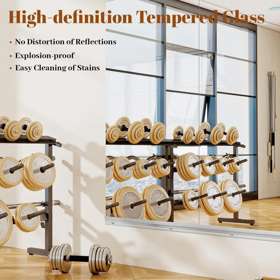 Home Gym Mirror 2 PCS 2448 inches, Large Wall Mounted Frameless Full Length Body Mirror for Dancing Studio, Exercise, Fineness,