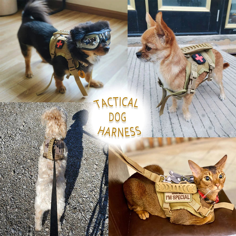 PETRAVELC Tactical Puppy Harness Leash Set For Small Dogs