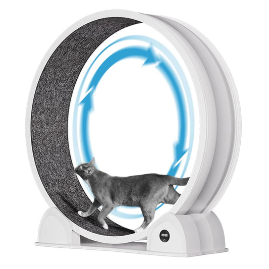 HiMISSCN Cat Exercise Wheel For Indoor Cats Quiet Treadmill Pedometer