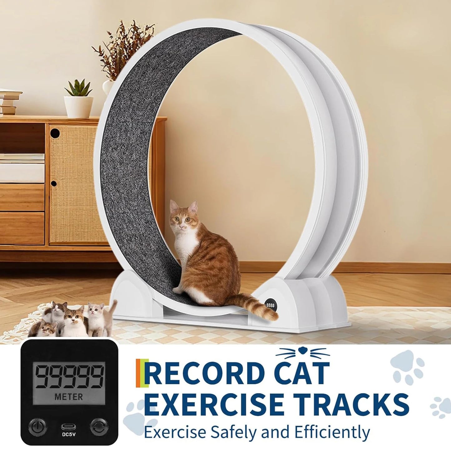 HiMISSCN Cat Exercise Wheel For Indoor Cats Quiet Treadmill Pedometer