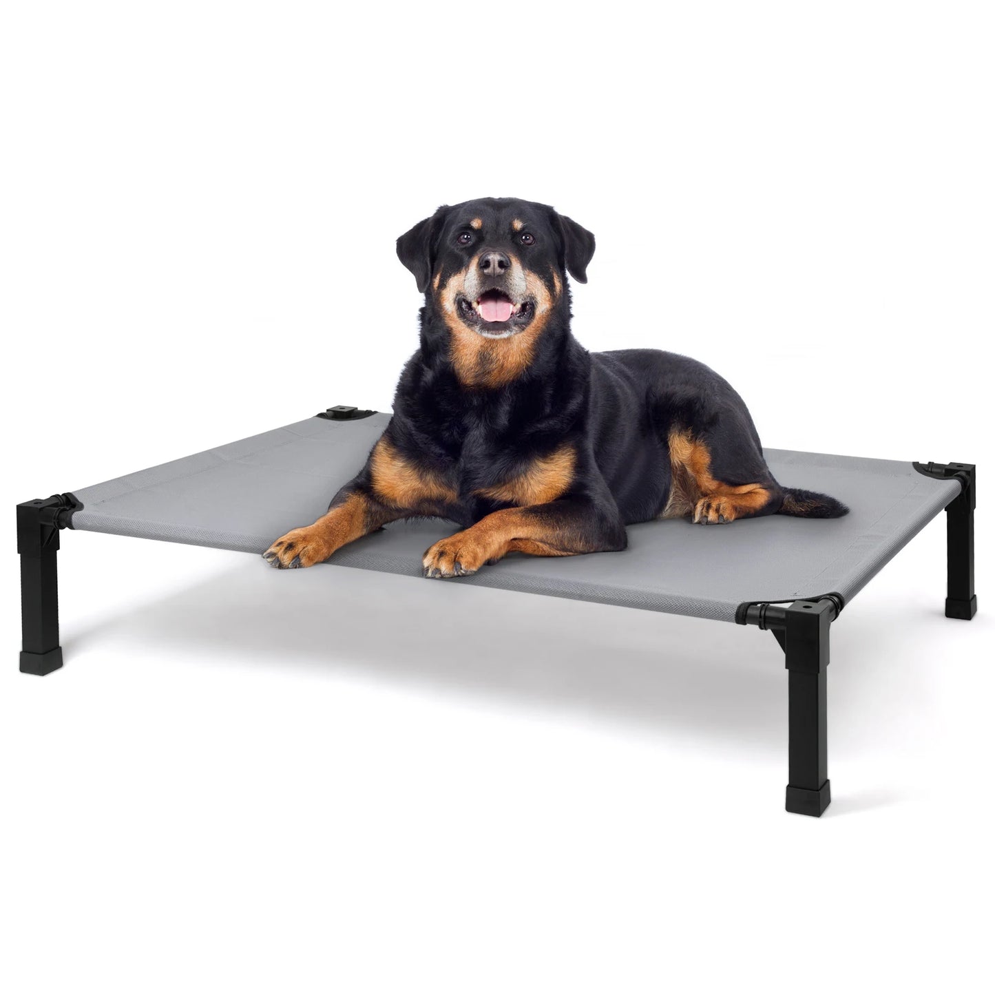 Elevated Dog Bed With Cooling Breathable Mesh And Metal Frame