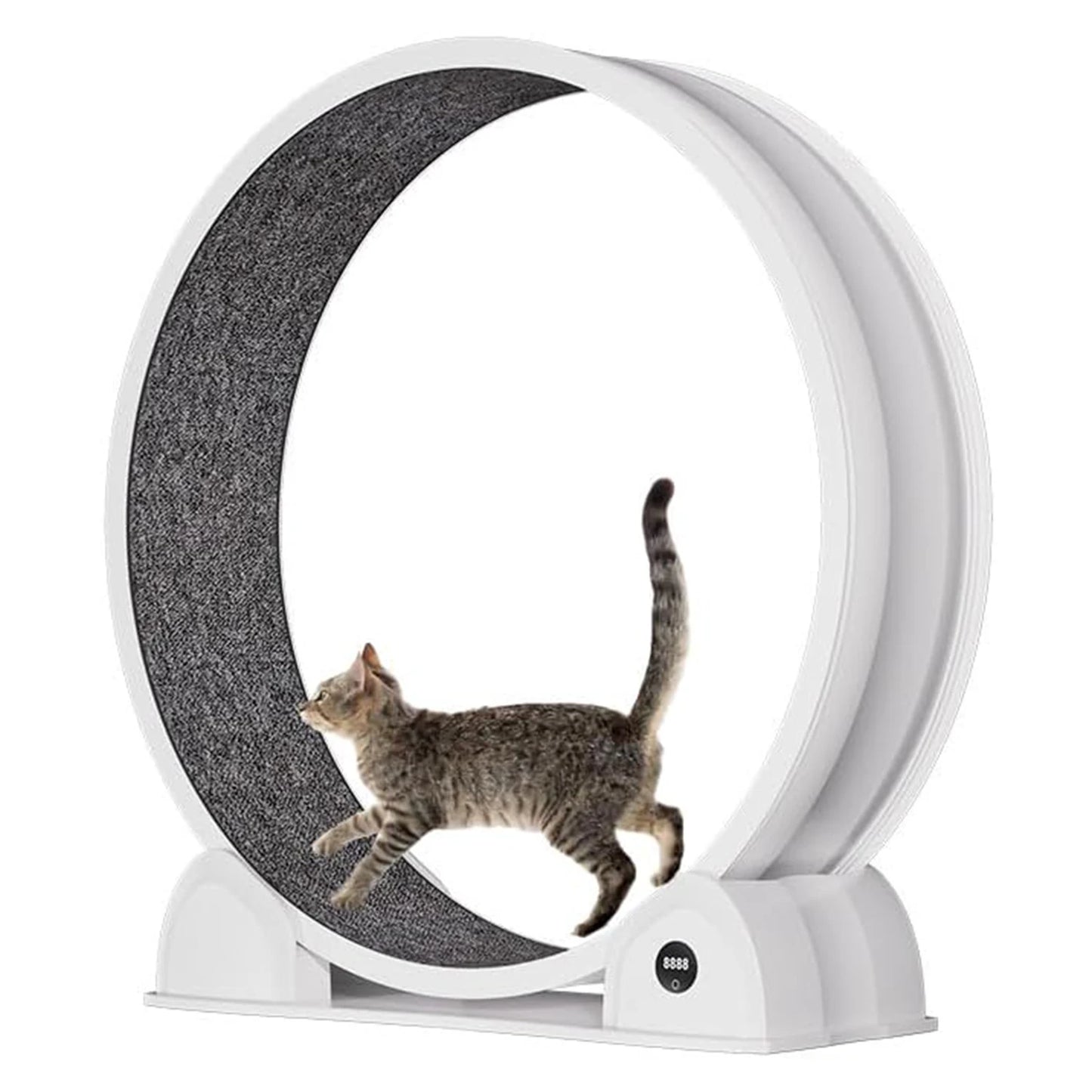 HiMISSCN Cat Exercise Wheel For Indoor Cats Quiet Treadmill Pedometer