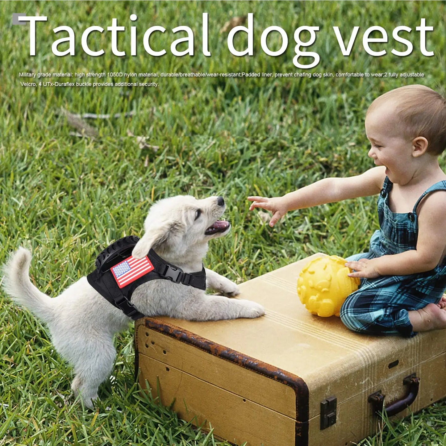 PETRAVELC Tactical Puppy Harness Leash Set For Small Dogs