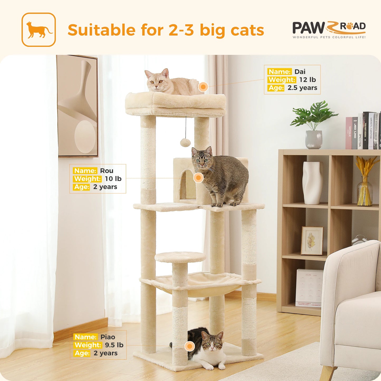 PAWZ Road Cat Tree Five Level Indoor Tower with Hammock