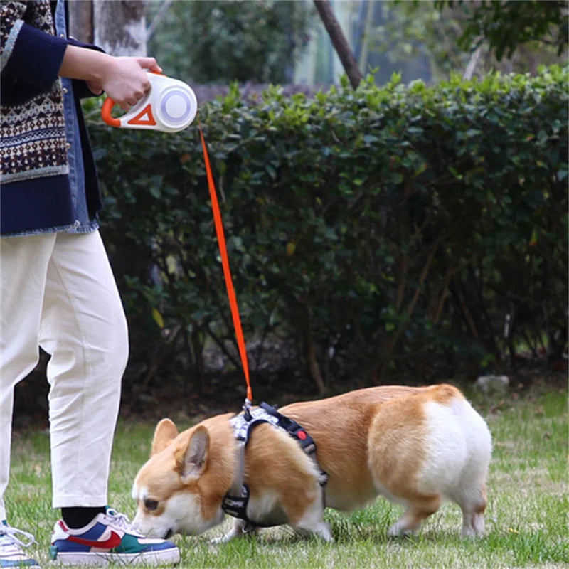 Automatic Retractable Dog Leash With LED Light Durable Nylon