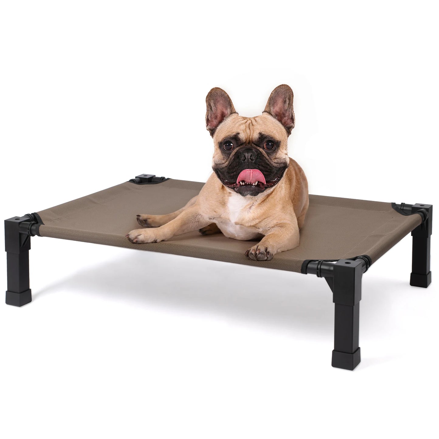 Elevated Dog Bed With Cooling Breathable Mesh And Metal Frame