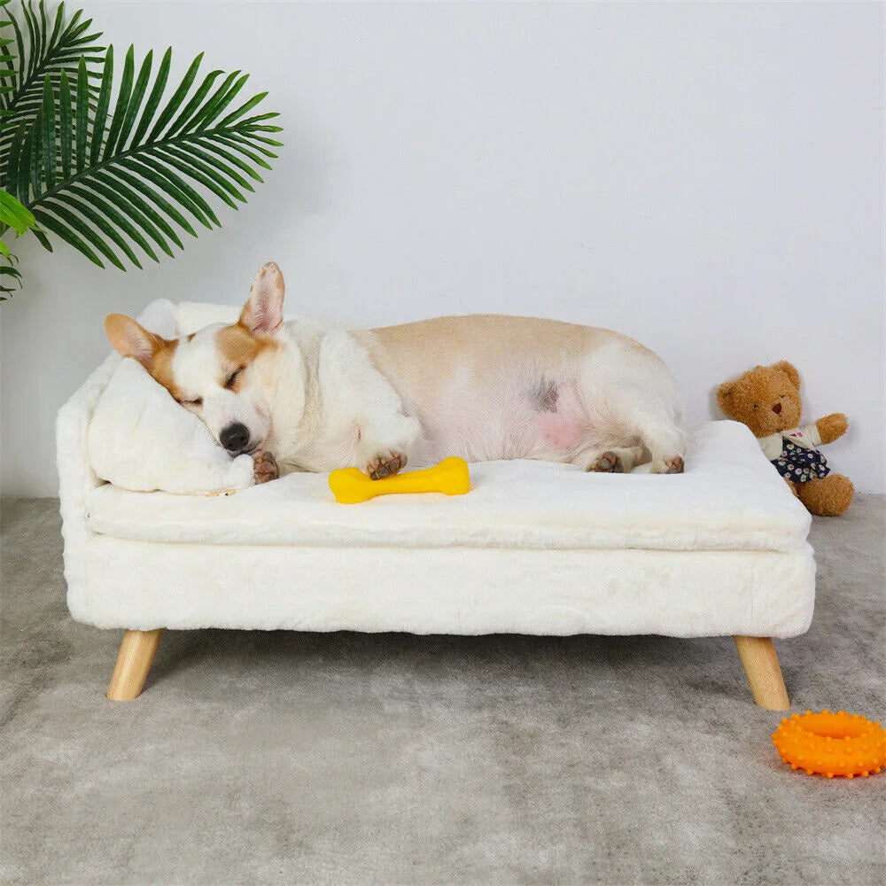 BORWARTCN Luxury Elevated Dog Sofa Bed With Backrest Plush Cushion Wooden Legs
