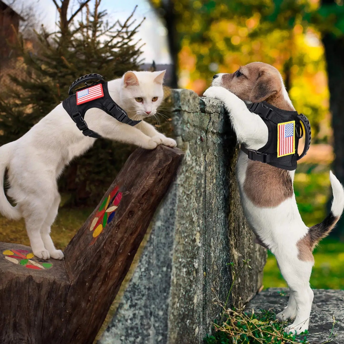 PETRAVELC Tactical Puppy Harness Leash Set For Small Dogs